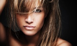 Etiam commodo convallis